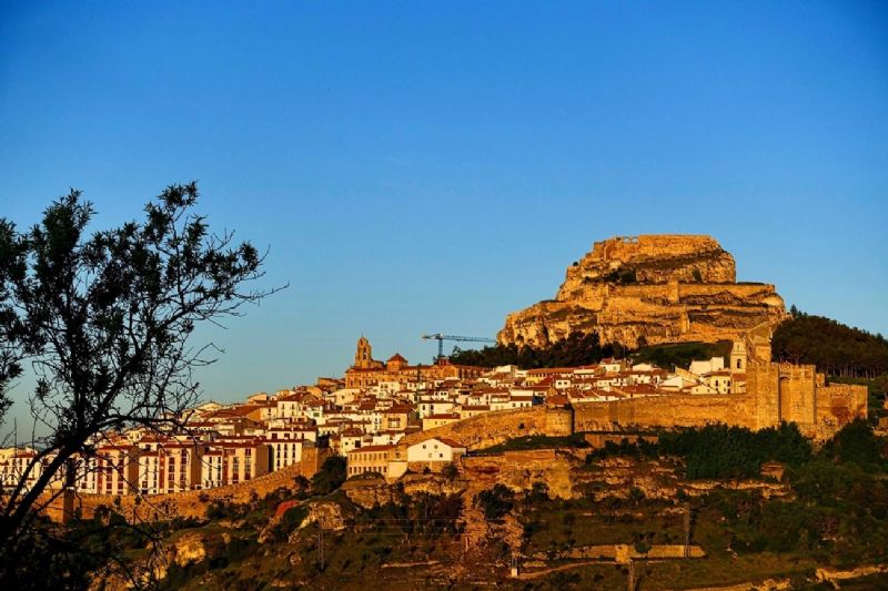 Morella